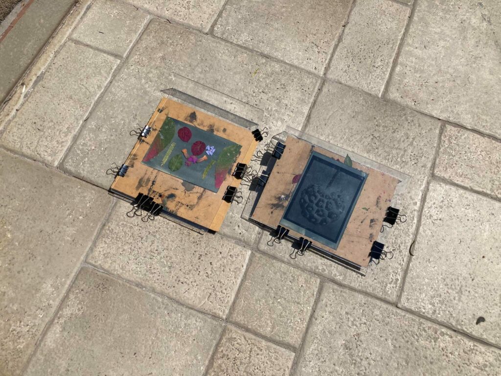 321961881_747967903191927_9206604916073730396_n