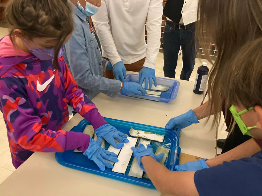 325528261_880344936349358_5663142124760181154_n