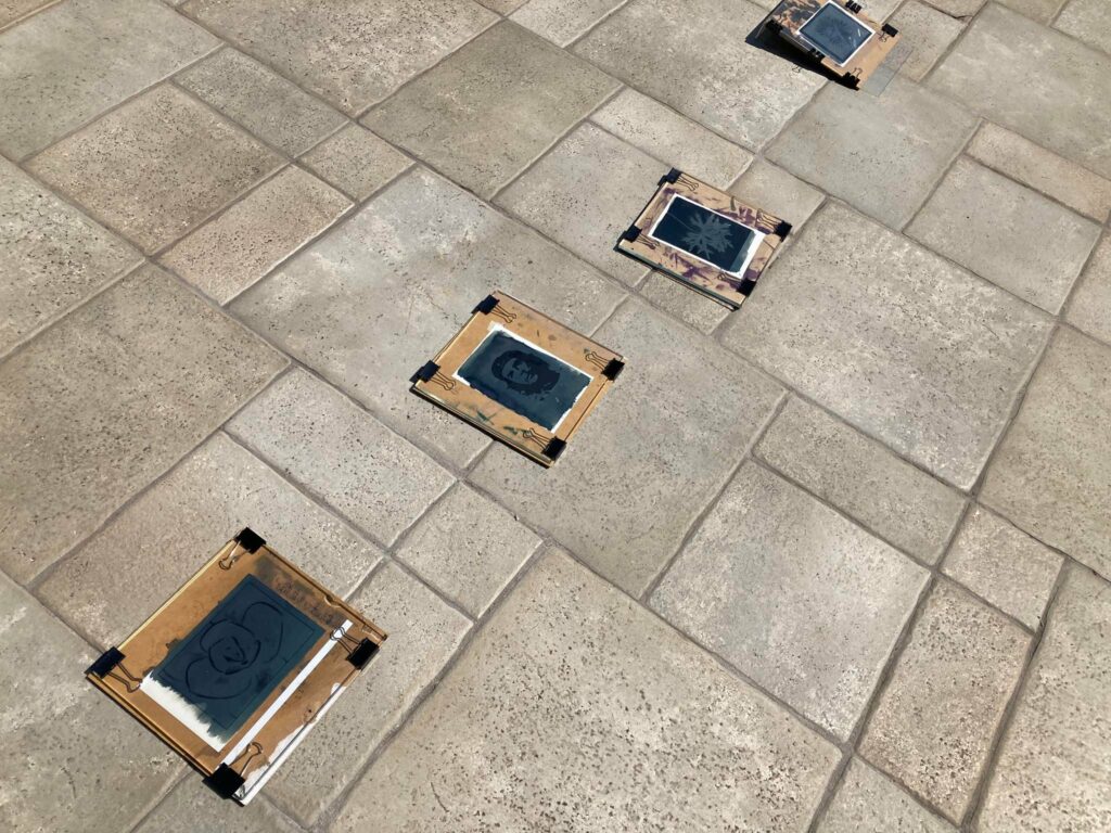 325574596_884435289428558_2277158215338607682_n