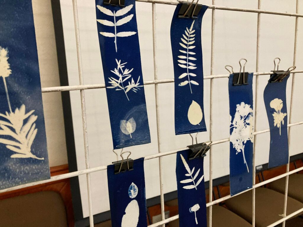 325580934_3555319214753902_8063706289882866680_n