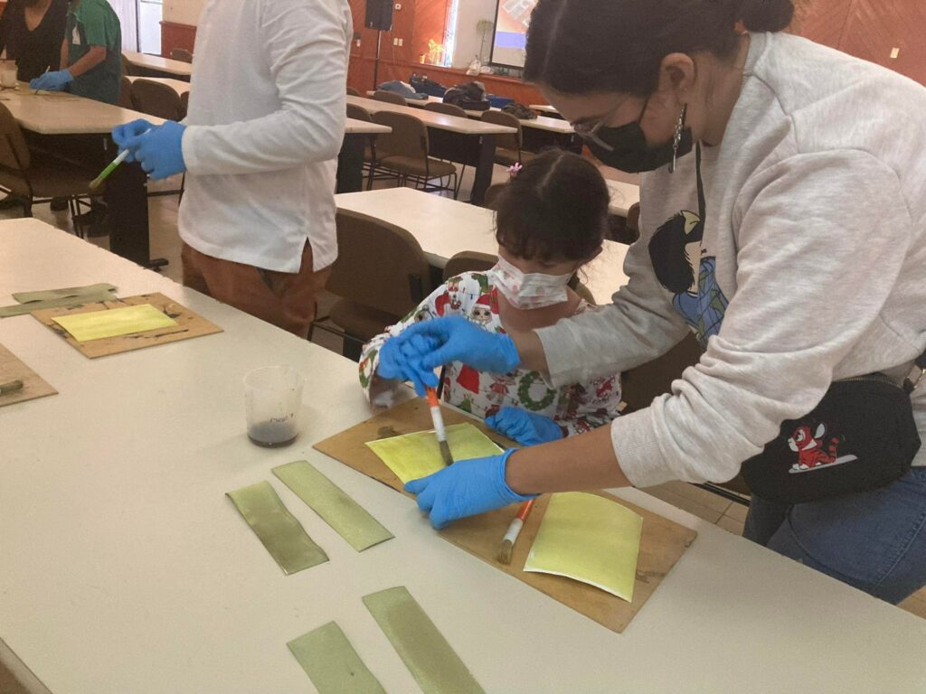 325587306_724379472490350_7282528134752497569_n