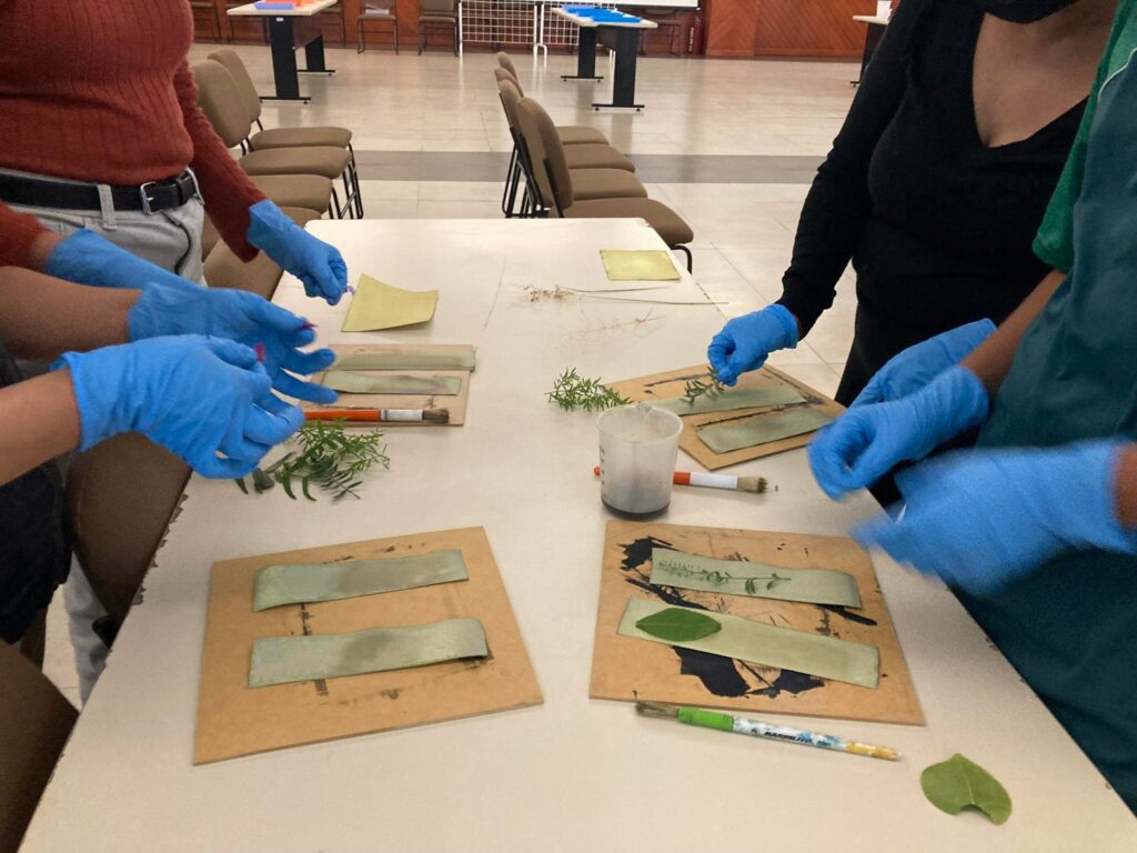 325587431_1234703447475920_2886265802157806936_n