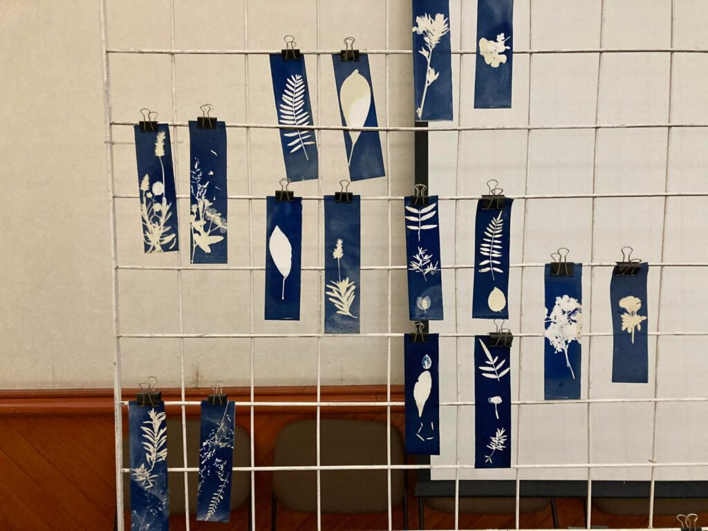 325587433_571920221481795_956466678000458124_n