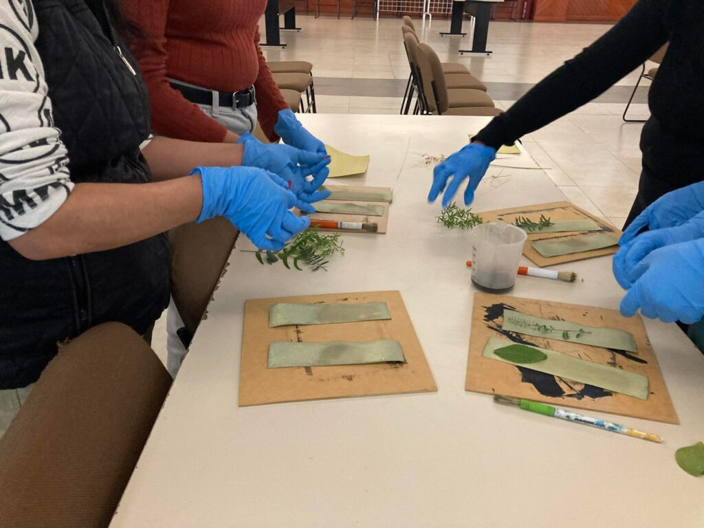 325630857_561429739377679_1558282773361469655_n