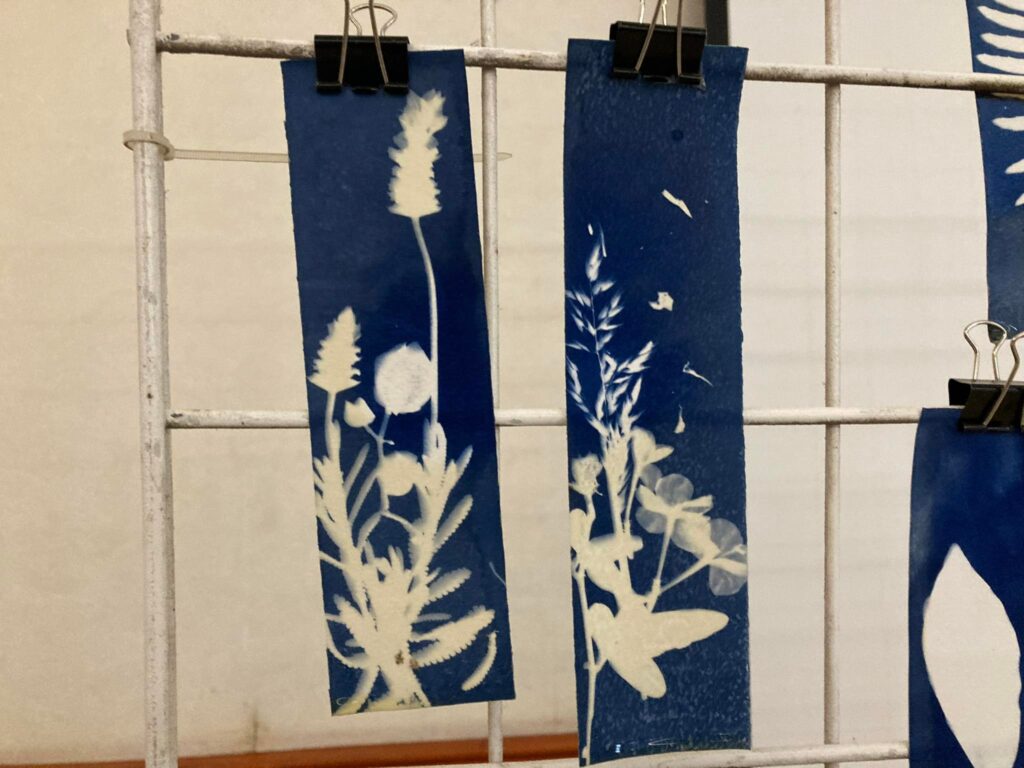 325632502_1540216743153979_4687828802572856307_n