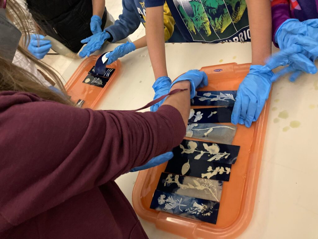 325704847_1411567536045644_6152248009608167724_n