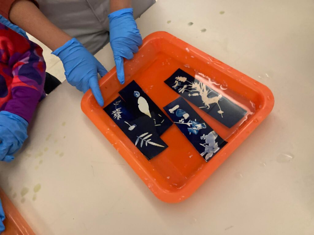 325896417_729839348812675_944971930547182328_n