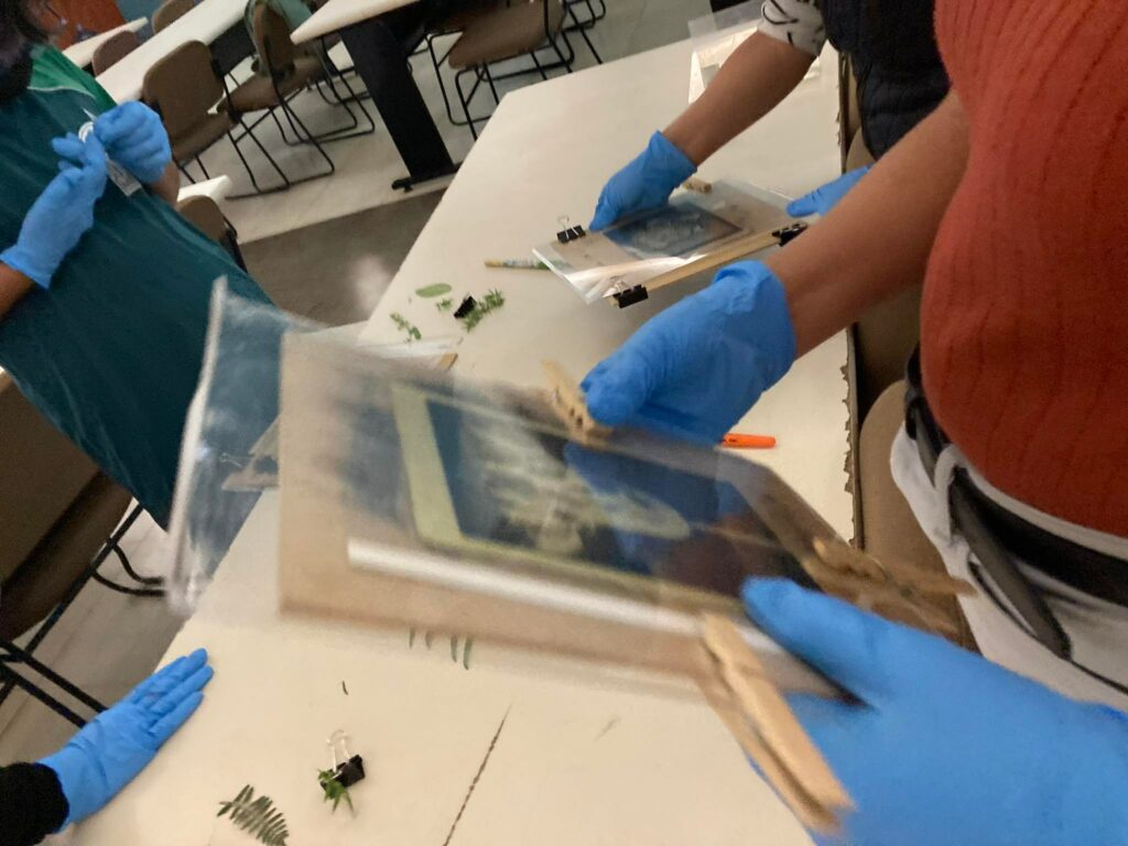 325911927_581005187273146_5960789994162602909_n