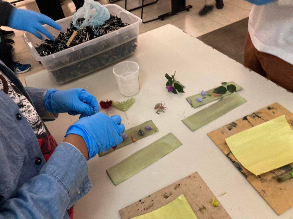 325916580_504007005141305_6238709124598942384_n