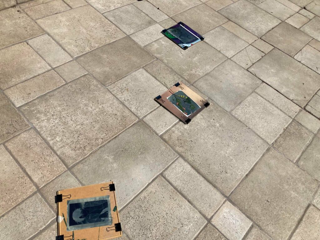 326041699_1026930275377892_3909251509902052030_n