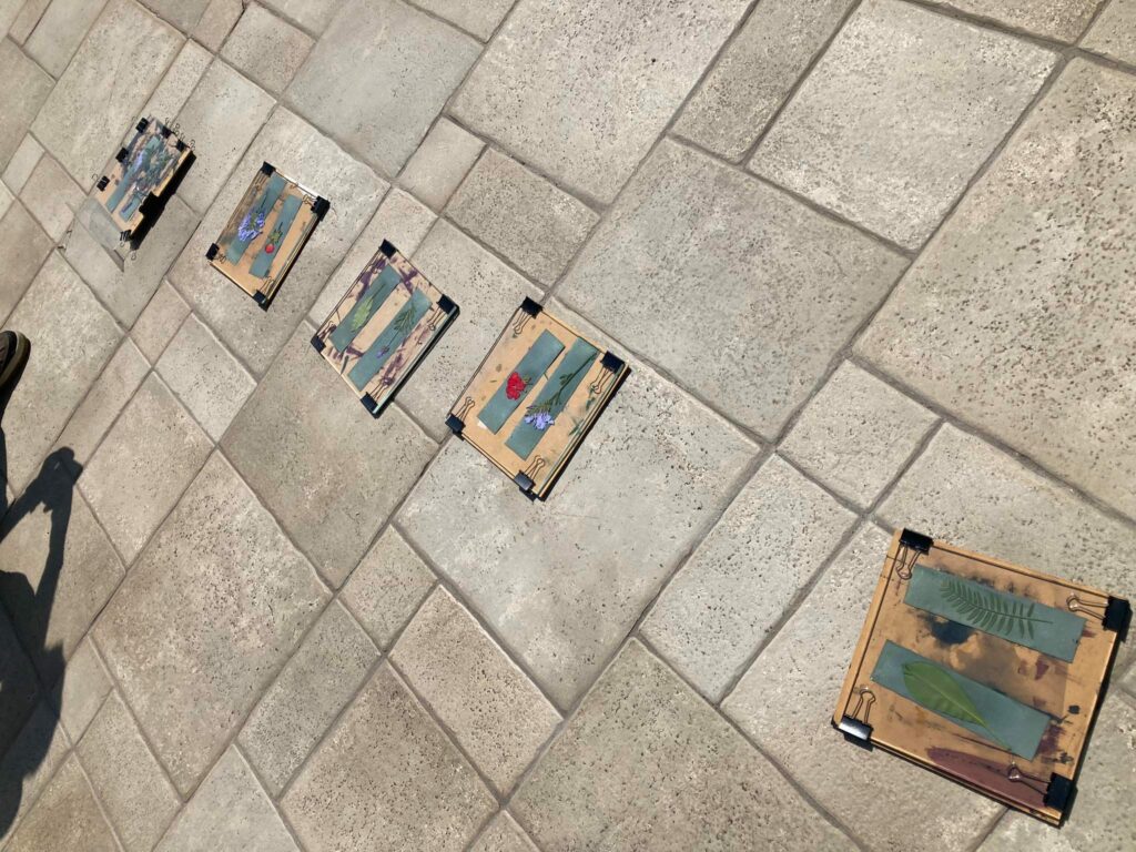 326084147_902187481232115_8390791539478091633_n