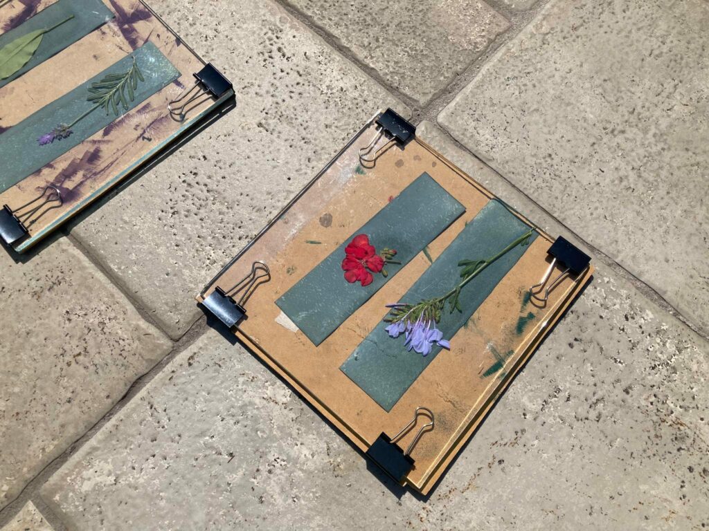 326105001_750055546260043_6493150659747318514_n