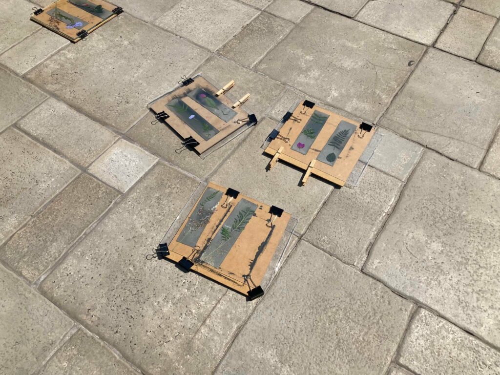 326210994_864150291481913_5843918284077103488_n