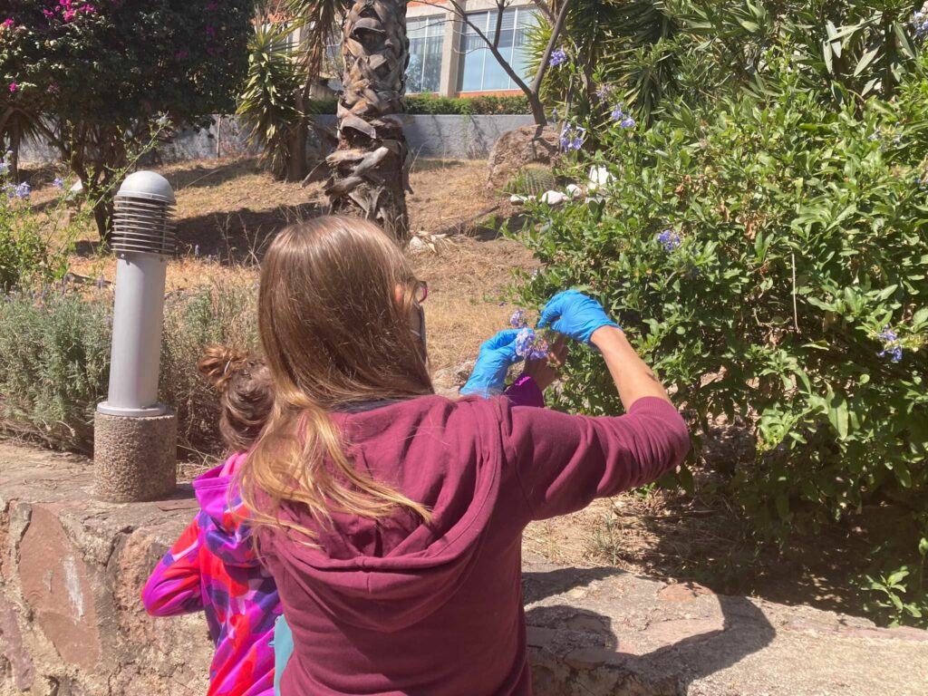 326224223_577654034259496_6003098923958319477_n