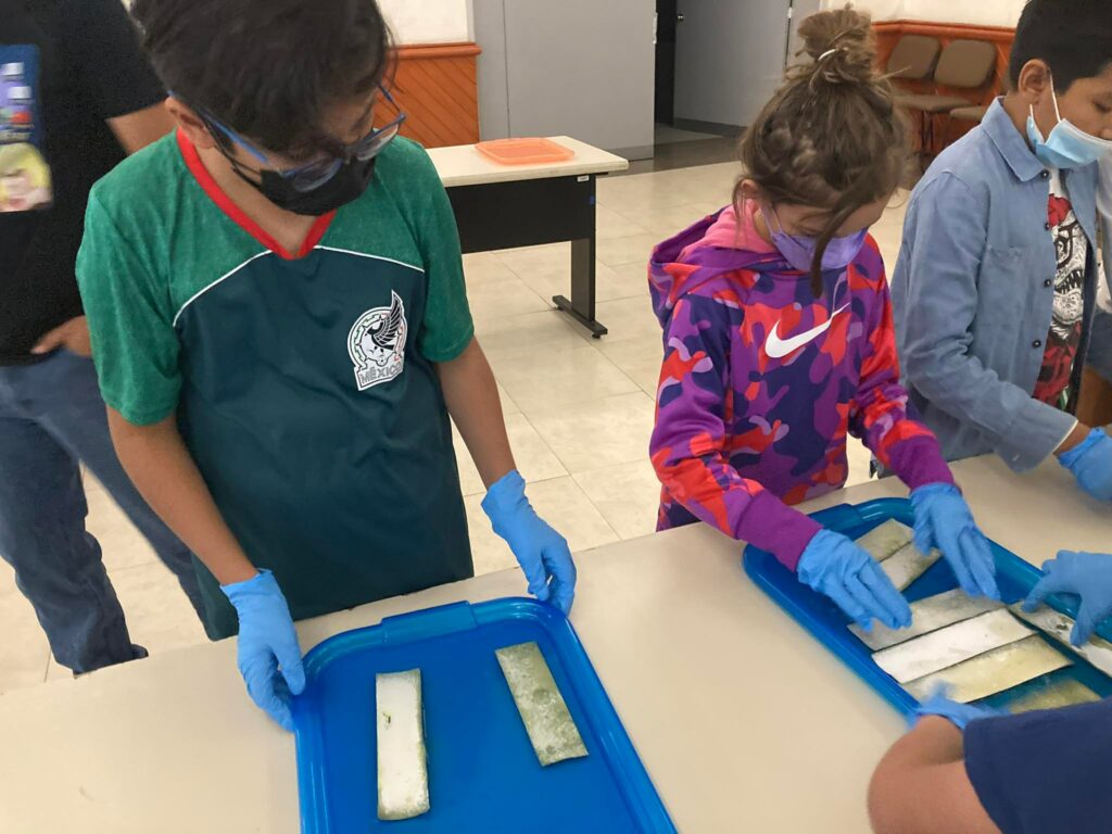 326353926_701327311686104_2912296069933443364_n