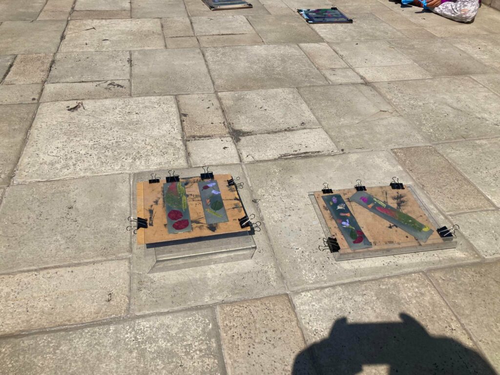 326355939_494294529568225_2605079880263684234_n