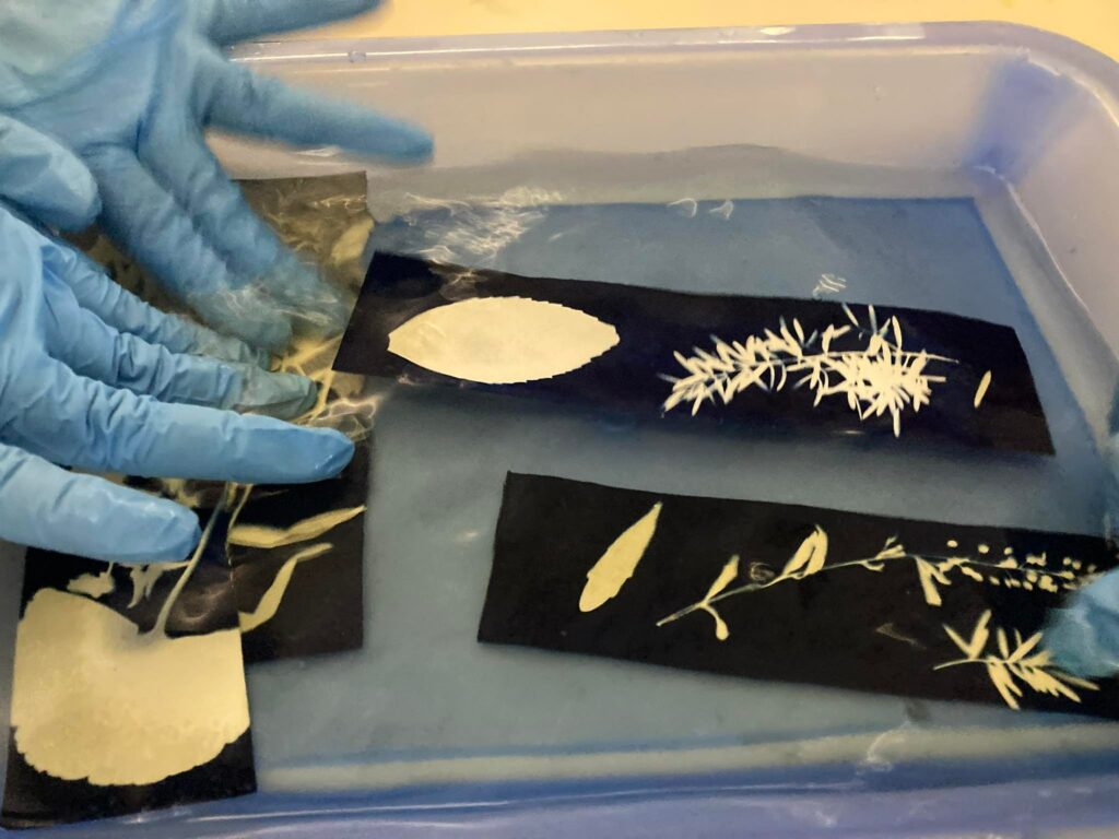 326445446_927738168237173_844957980749598148_n