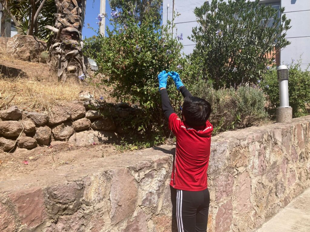 326456731_527784035882617_6101613458429430530_n