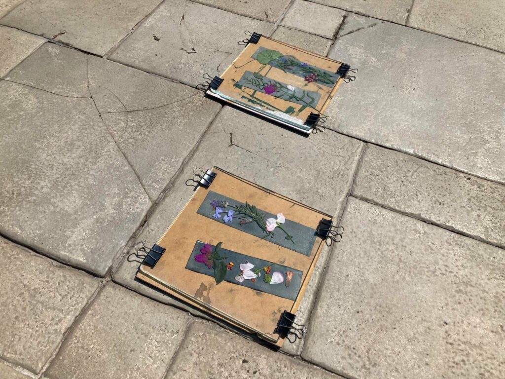 326495287_1339273593523623_6387646592449740696_n