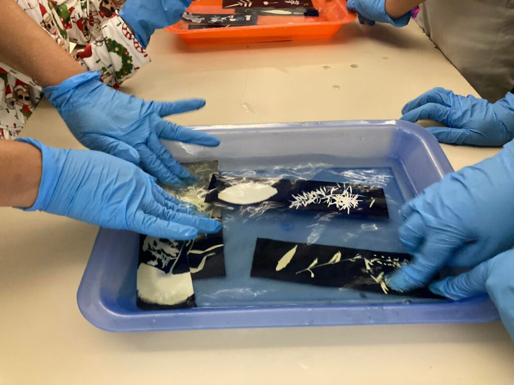 326522244_1557156434795248_807400536824172881_n