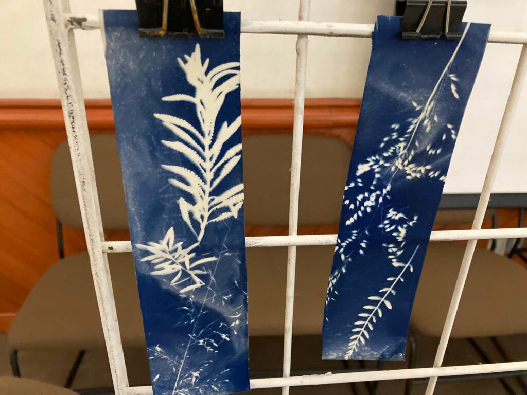 326529573_1158577021511856_1539209025607904165_n