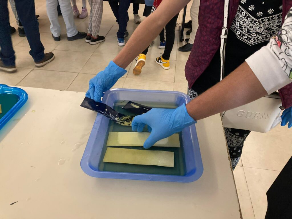 326530966_970580900597269_6586397312168992765_n