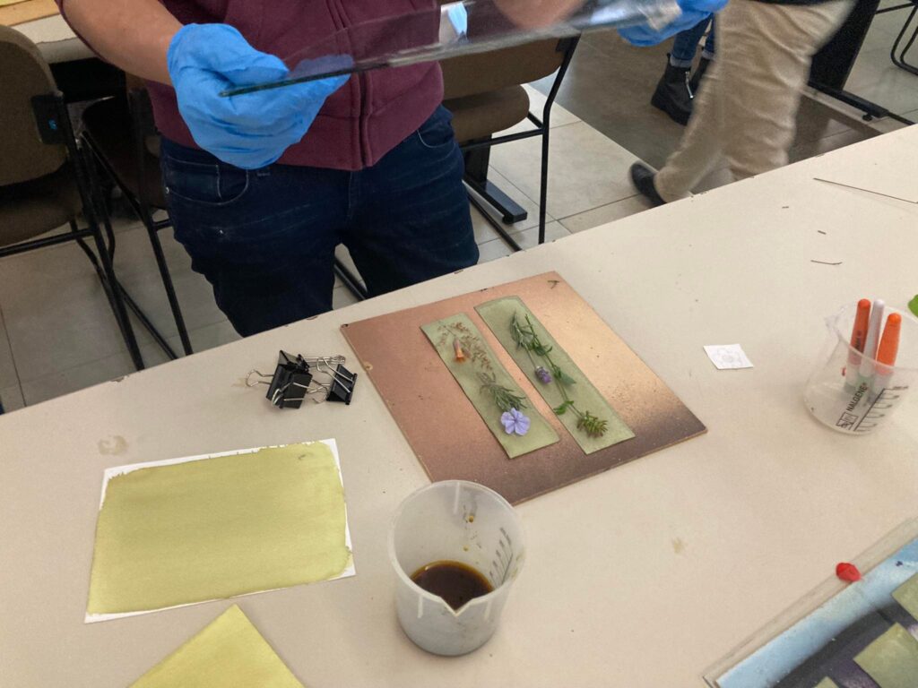 326592066_505877258151811_1468582119970669205_n