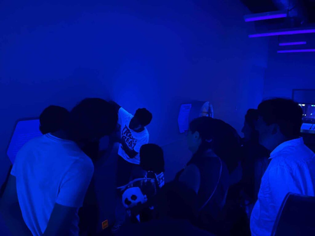 Copia de 352857900_161304566939574_647169940585732100_n