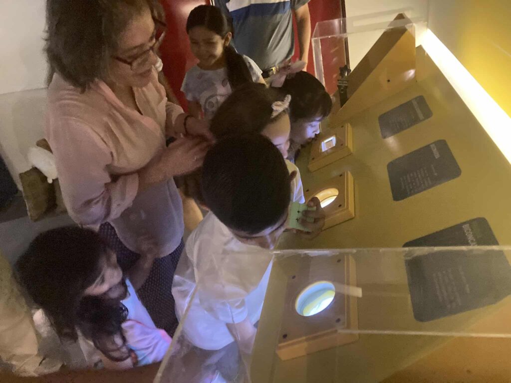 Copia de 353191810_985737479116568_6898000435916219767_n