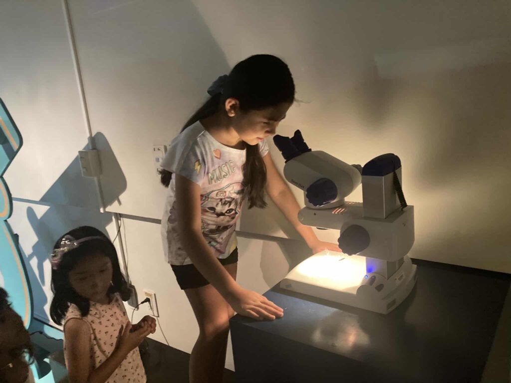 Copia de 353383230_975617440549651_3873337787176498376_n