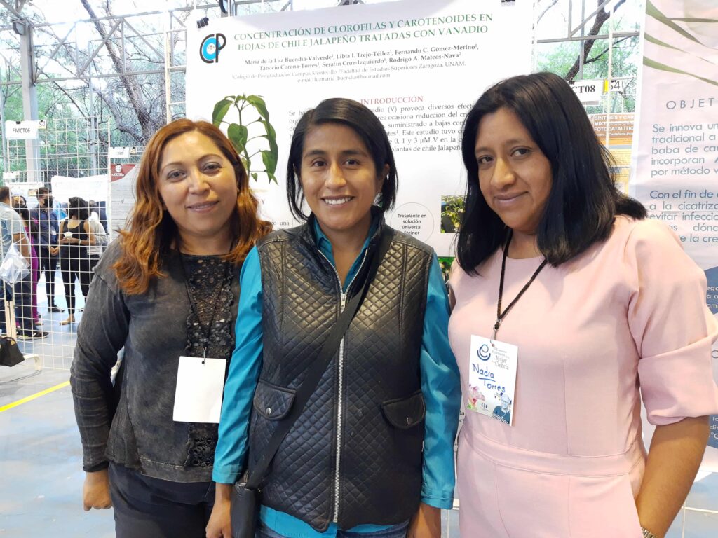 IMG_20220929_190550421_BURST001