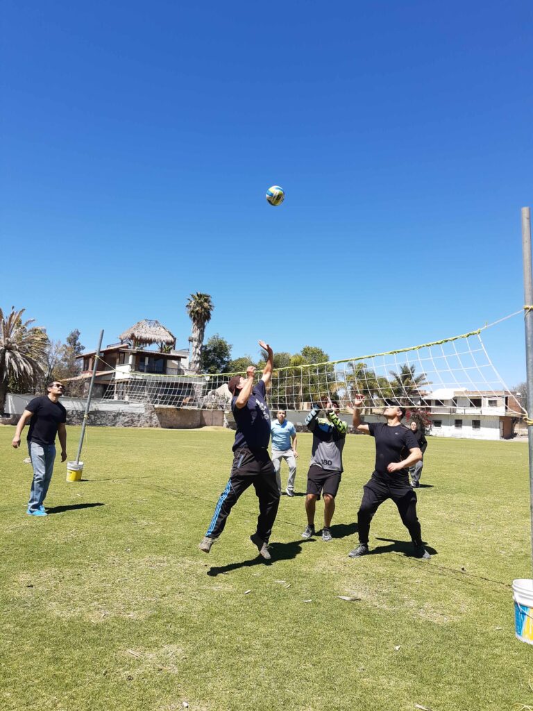 IMG_20230303_130445135