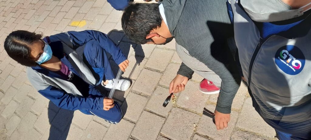 WhatsApp Image 2021-12-02 at 11.14.20 PM (1)