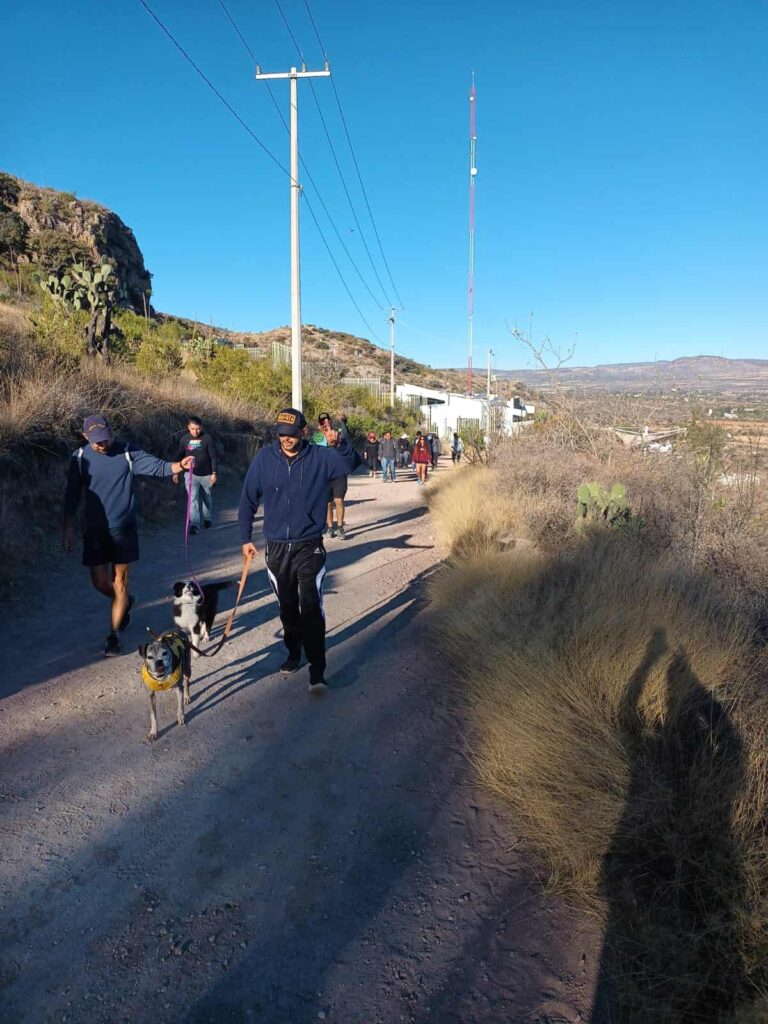 WhatsApp Image 2023-03-03 at 09.07.12