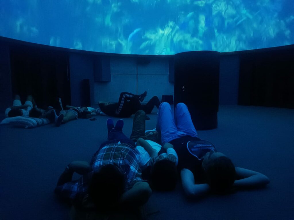 WhatsApp Image 2023-07-03 at 4.17.47 PM