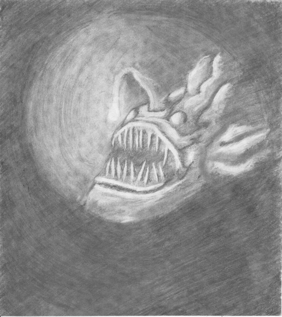 Abisal / Leonardo Morales Padilla