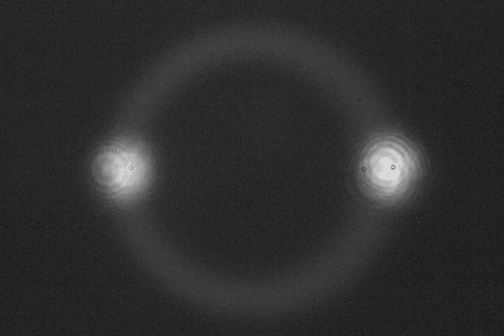 Anillo de SPDC Tipo1 / Edwin Giovanni Trejo Liévano