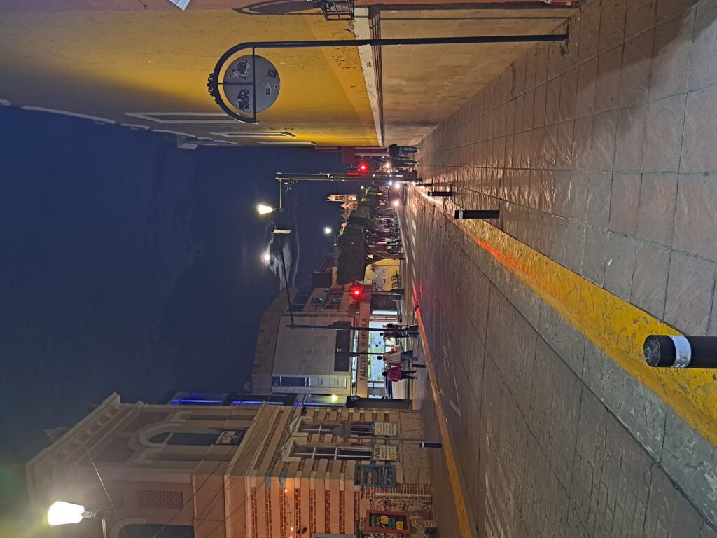 CAMINO A CASA ACOMPAÑADA POR SELENE / Alma Adriana Camacho Pérez