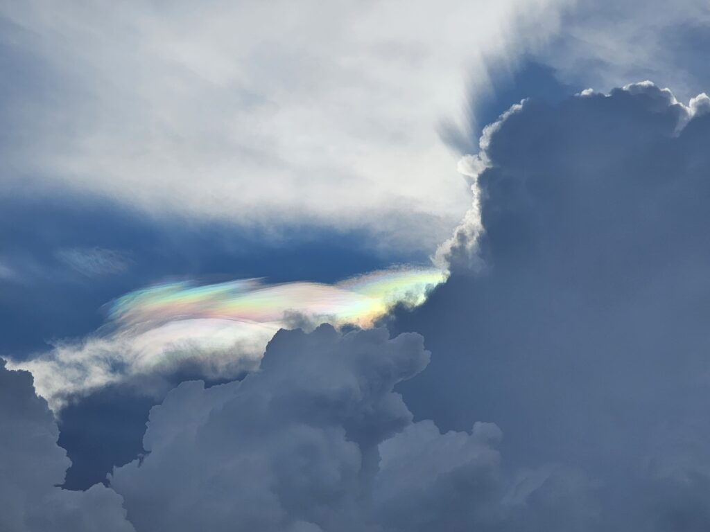 El arcoíris tímido / Cesia Daniela Mena Muñoz