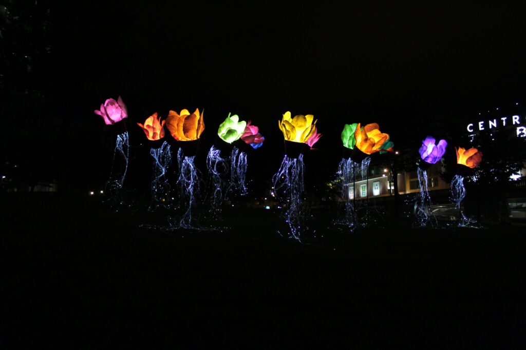 Flores bailando en la noche blanca / Monserrat Alonso Murias