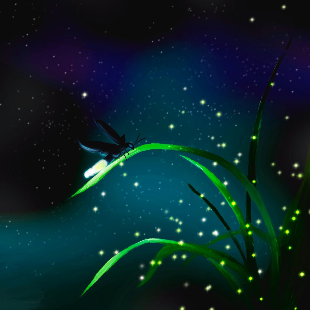 Luciérnaga / Montserrat de Guadalupe Rivera Ortiz