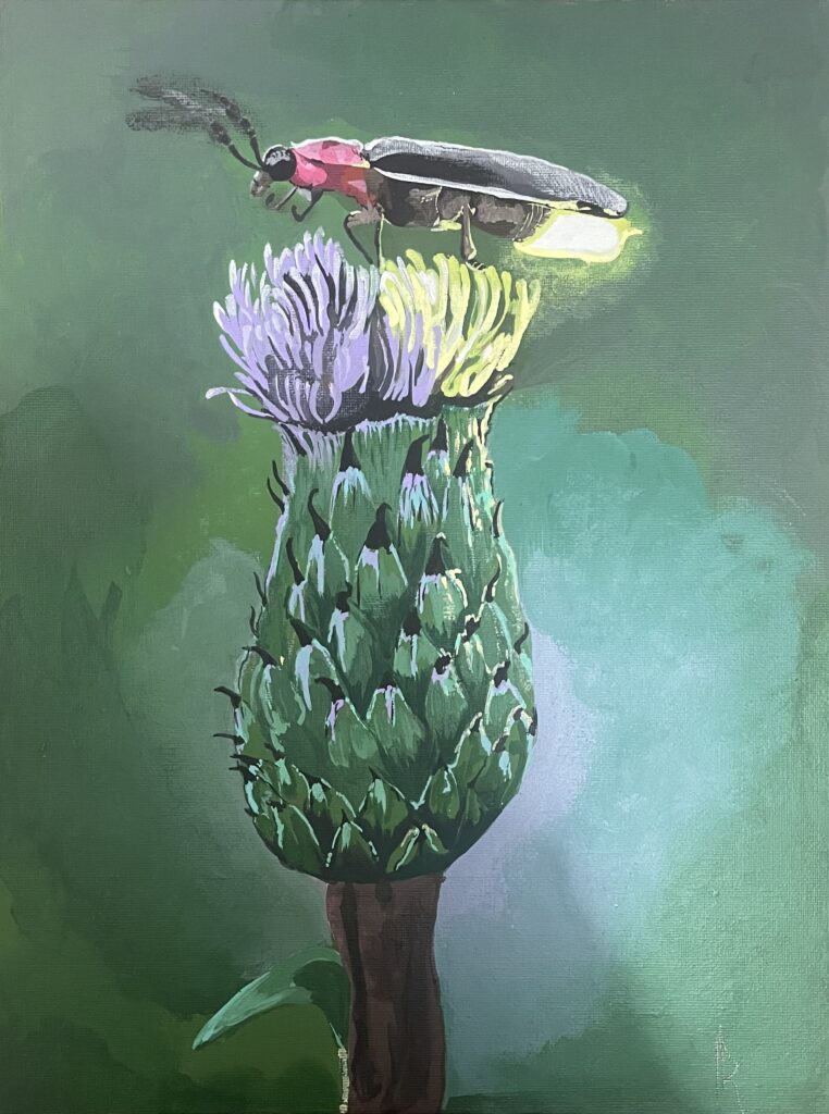 Luciérnaga posando en flor de opio /Miguel Israel Resendiz López